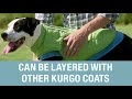 Kurgo Loft Jacket striukė šunims, X-Small, Mėlyna / Oranžinė