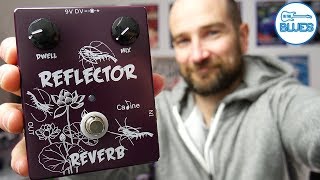 Video thumbnail for Caline Reflector Reverb Pedal Review - The Wettest Reverb Ever? by intheblues