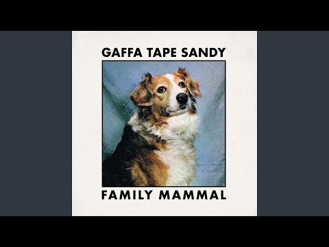download lagu mp3 mp4 Gaffa Tape Sandy Family Mammal, download lagu Gaffa Tape Sandy Family Mammal gratis, unduh video klip Gaffa Tape Sandy Family Mammal