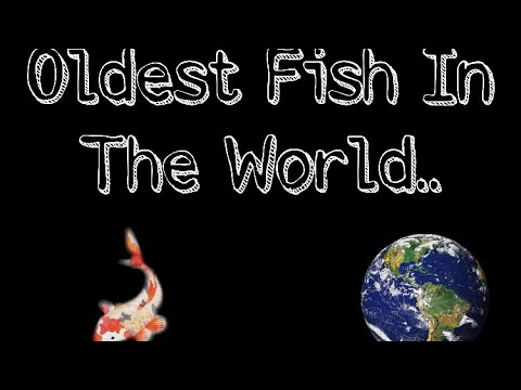 Oldest Fish In The World.. #shorts