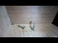 Clay Animation Fighting Animation RANDOM UPLOADER