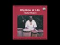Ephat Mujuru – Rhythms Of Life