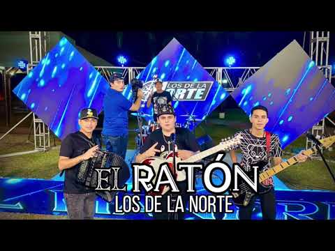 El Raton - Los De La Norte LDLN | En Vivo #corridos #bélico #norteño #Losdelanorte