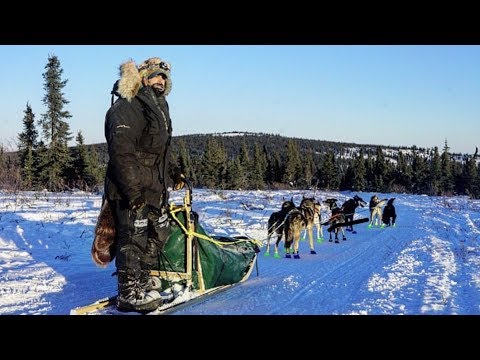 download lagu mp3 mp4 Jeff Reid Navy Seal, download lagu Jeff Reid Navy Seal gratis, unduh video klip Jeff Reid Navy Seal