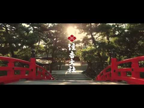 住吉大社 | Sumiyoshi Taisha
