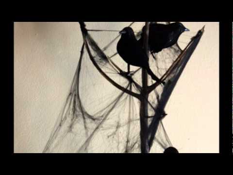 Stanley CLarke Band  Bass Folk Song No  6 & 10