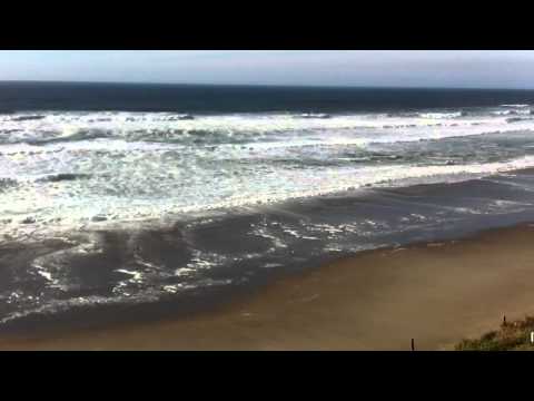 Room at the Coho Inn