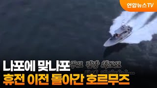 [영상구성] 나포에 맞나포…휴전 이전 돌아간 호르무즈 / 연합뉴스TV (YonhapnewsTV)
