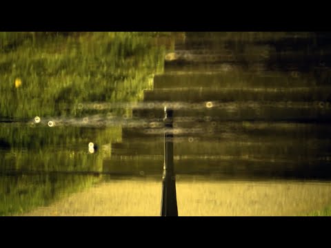 danaga  - pescăruși pe someș