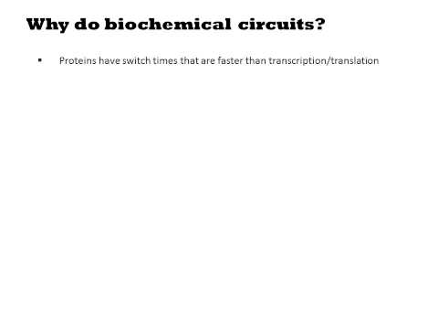 Biochemical Circuits