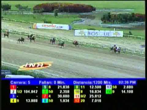 Resumen Domingo, 17 de Noviembre de 2013 - La Rinconada