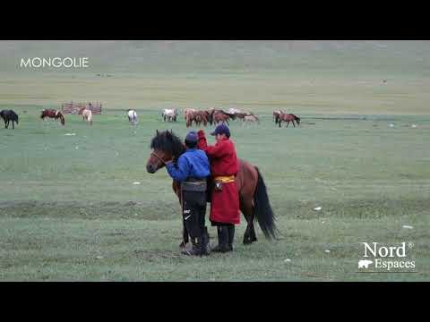 , title : 'Dressage des chevaux en Mongolie'