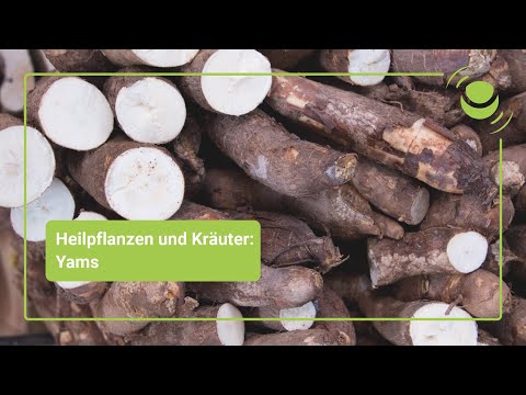 Yams – Alles, was du über seine Wirkung wissen solltest.