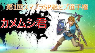 第1回スマブラSP魅せプ選手権《カメムシ君》【スマブラSP】