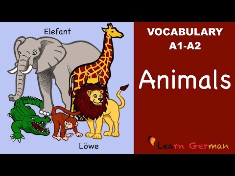 Learn German Vocabulary Colors Colours in German Farben