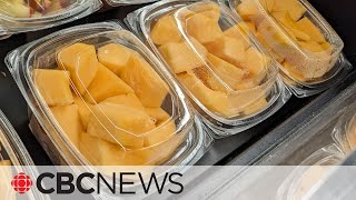 5 now dead in major cantaloupe salmonella outbreak