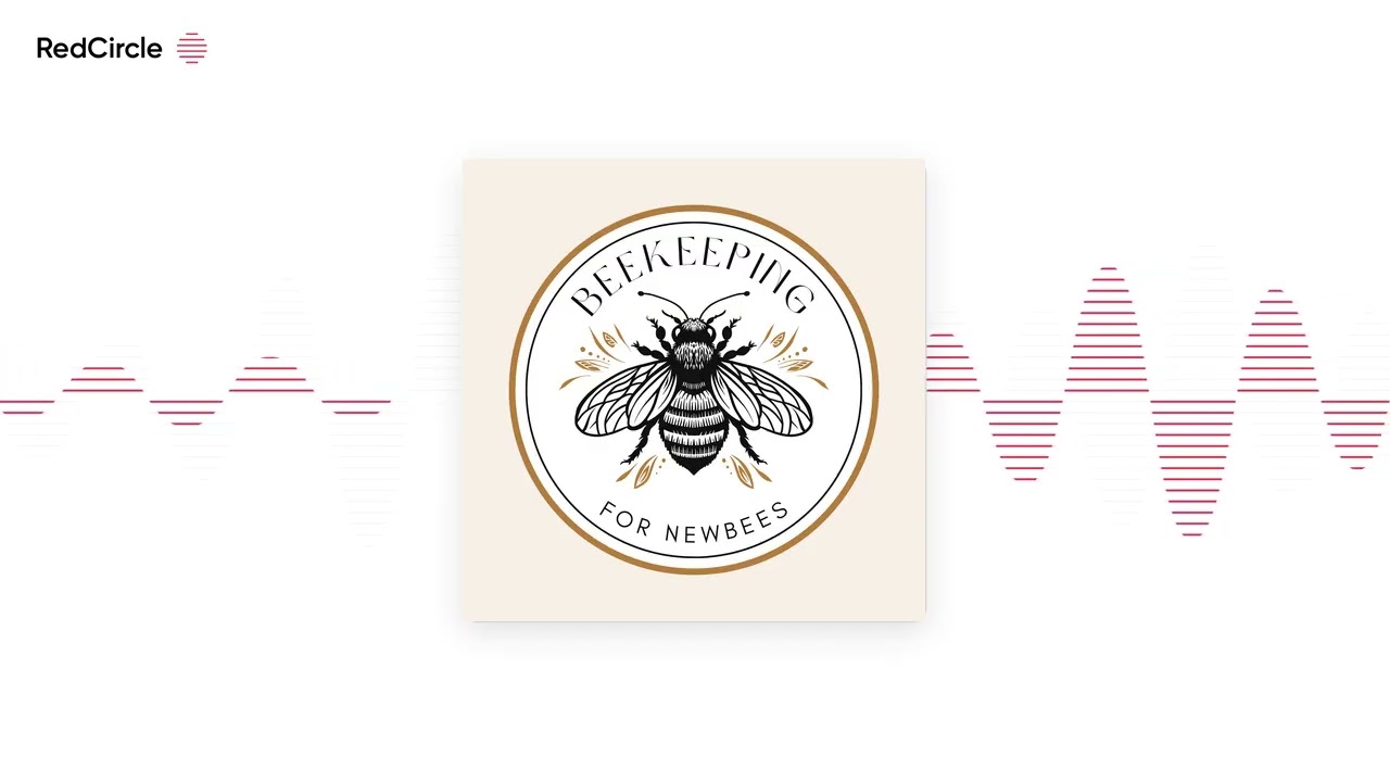 Episode 194 – Feeding Bees: When, Why, and How to Do It Right 🐝