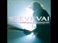 steve vai now  we run