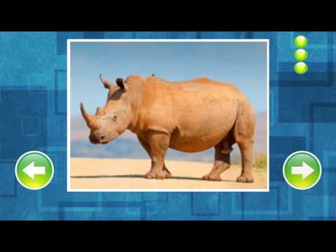 Animals for kids Video