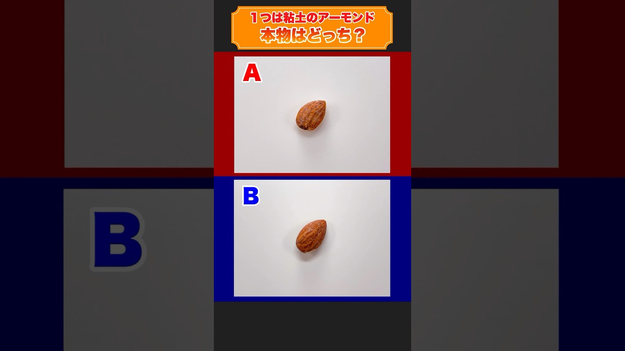 Which one is real? One is a clay almond.