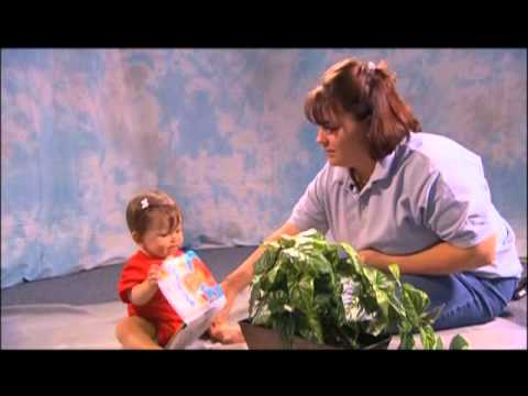 CDE Baby Human to Feel 4 Responses