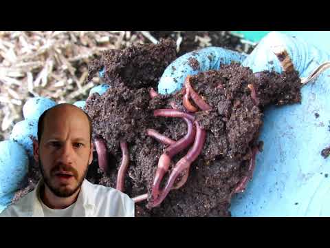 06 New paper shredder and quick show of baby ENC and RW worm bins