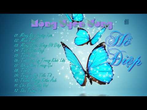 Mộng uyên ương hồ điệp (Can let's go - Tân uyên ương hồ điệp mộng - Xīn yuān yāng hú dié mèng - 新鴛鴦蝴蝶夢) - Tuấn Đạt