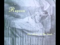Rapoon - Verianus
