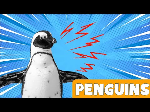 Penguin fun facts for Kids -interesting facts about penguins