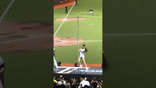 【Team Taiwan】#mina 林立應援歌 台灣捷克國際交流賽@台北大巨蛋 20241102 #台湾チア #cheerdance #cheerleading  #teamtaiwan