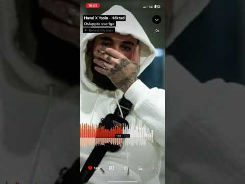 Haval X Yasin (Häktad) Osläppt