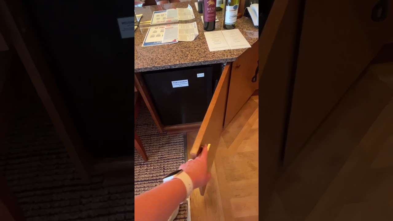 Carnival Freedom - Cabin 7282 - Video 2