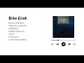 Billie Eilish Best Playlist Vibe On