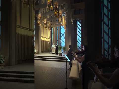 Promotional video thumbnail 6 for Alma Elegance Violin