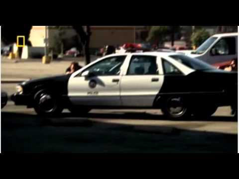 Trailers Hollywood Cops