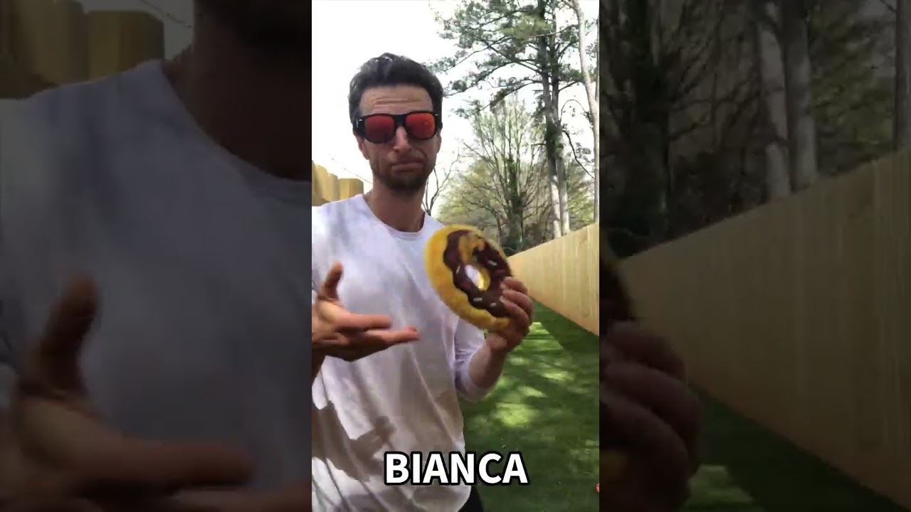 Enlarge Bianca, a ADOPTABLE mixed breed in Kennesaw, GA video 6/6