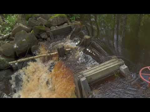 Vanha Mylly Korpilahdessa (2021)