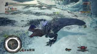 下手の物好き　MHWIやります
