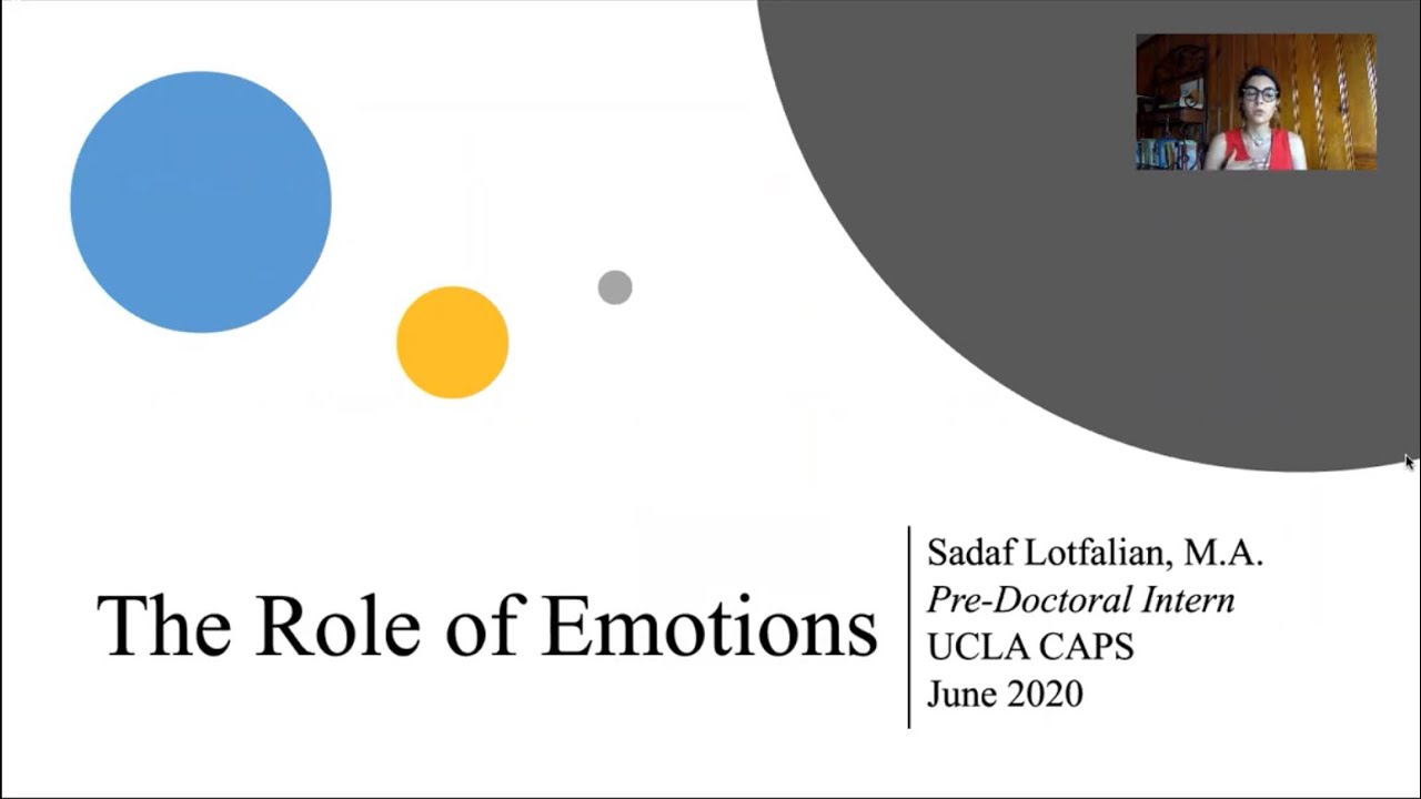 The Role of Emotions