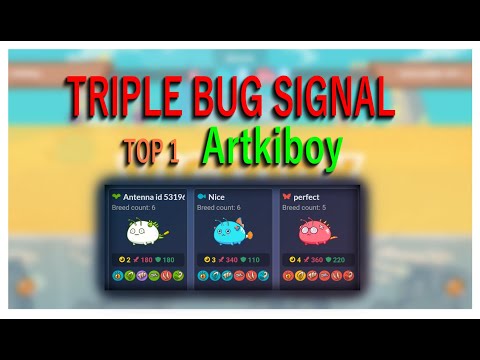 Triple Bug Signal Axie Top 1 Global Off-season Artkiboy