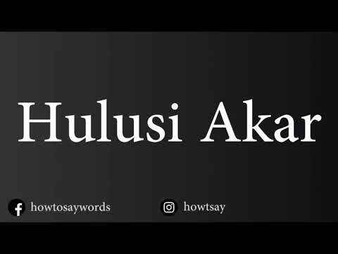 How To Pronounce Hulusi Akar