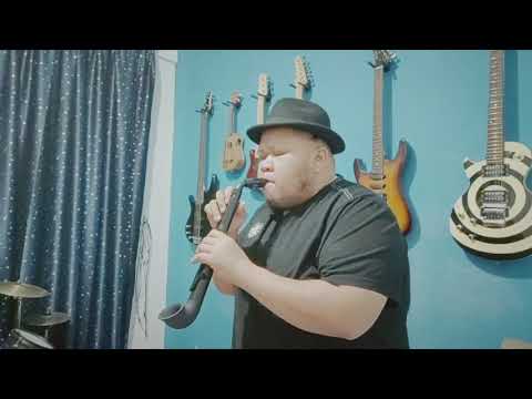 Songbird on nuvo jsax @ mini saxophone