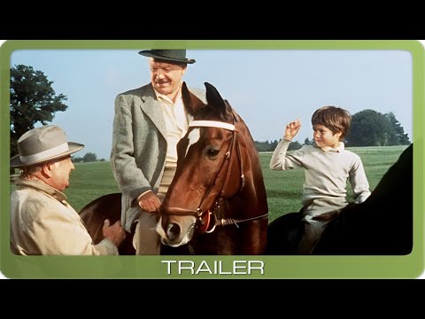 Trailer-Vorschau: Kleiner Mann - ganz groß