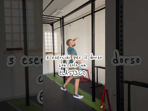 3 esercizi dorso solo con un elastico #genitori #allenamento #dorsali