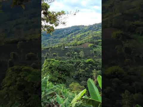 hermoso municipio de Génova Quindío Colombia. #paisajes