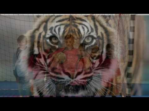 Film ZTLL - Natale 2016