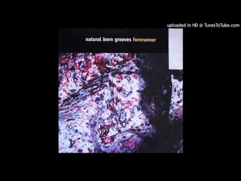 Natural Born Grooves - Forerunner (Original Mix)