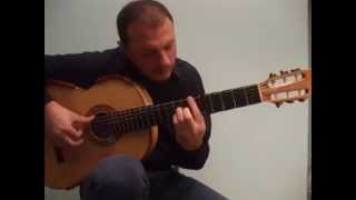 PIRATES OF THE CARIBBEAN - Flavio Sala, best guitar version