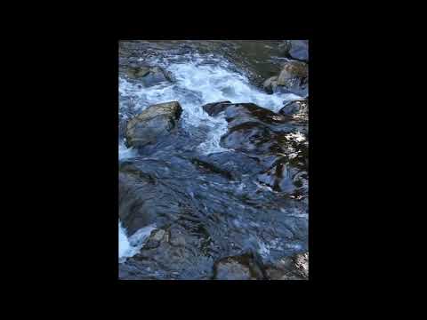 [!FREE] | MAYOT x PRETTY SCREAM x LILDRUGHILL x YUNGWAY - "you" WAVE TRAP TYPE BEAT |  |~ 2022~|