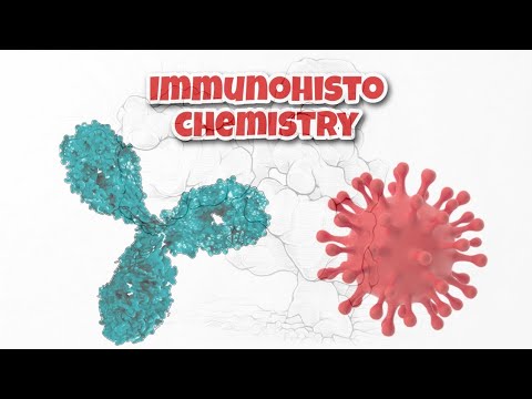 What is the Immunohistochemistry IHC ? why it is done ? #ihc  #musawir